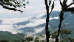 scenic photo of Monteverde