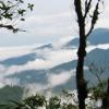 scenic photo of Monteverde