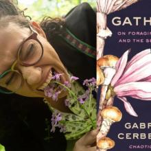 Gabrielle Cerberville