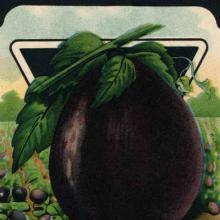 Eggplant Heroes Eggplant Heroes