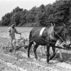 Black Farmer Plowing Field