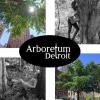 Arboretum Detroit logo